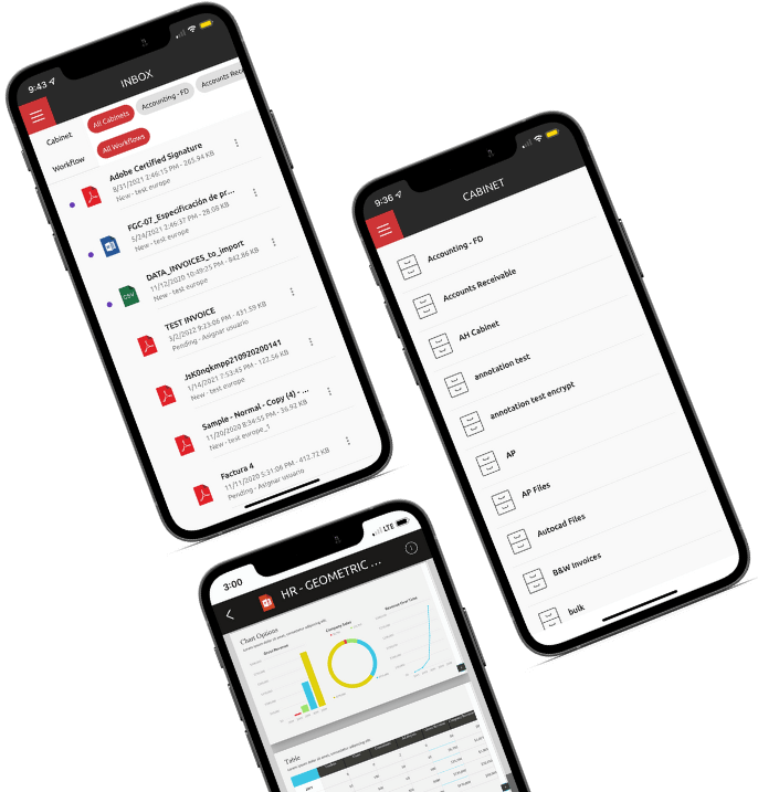 Mobile Application